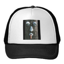 pine tree with hot dog mesh hat