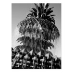 Pineapple Fountain Post Cards