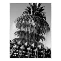 Pineapple Fountain Post Cards