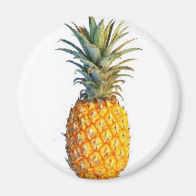 pineapple magnet