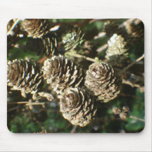 Pinecones Mousepad