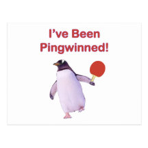 Pingwinned Penguin Ping Pong Post Card