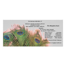 Pink and Grey Peacock Wedding Program Full Color Rack Card