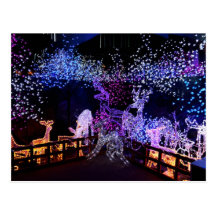 Pink And Purple Christmas Decorations Outdoors Postcards