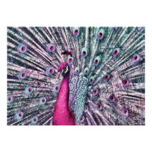 Pink and Purple Fantasy Peacock Party Invitations