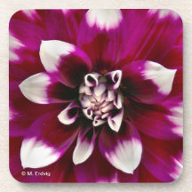 Pink and Purple Flower Cork Coaster