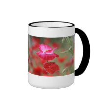 Pink and Red Poppies Photo Coffee Mugs