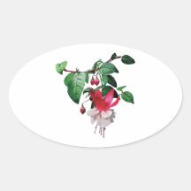 Pink and White Fuschia Oval Sticker