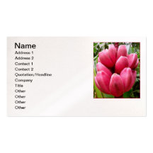 Pink Bananas Business Card Templates