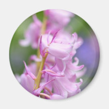 Pink Bluebells Magnets
