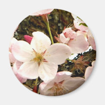 Pink Bunch Fridge Magnets