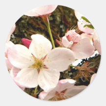 Pink Bunch Round Sticker