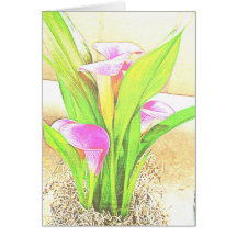 Pink Calla Lily Flowers Card
