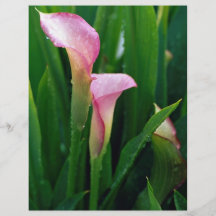 Pink calla lily personalized flyer