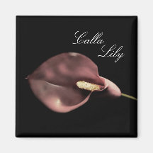 Pink Calla - magnet