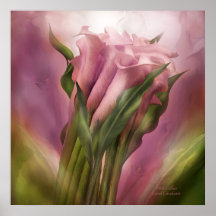 Pink Callas Art Poster/Print