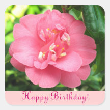 Pink Camellia Happy Birthday Sticker