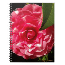 pink camellia notebook