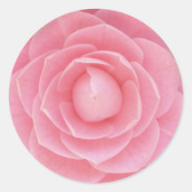 Pink Camellia Round Sticker