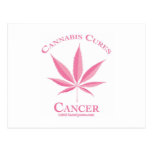 Pink Cannabis Cures Cancer Post Card