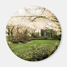 Pink Canopy Magnets