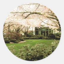 Pink Canopy Stickers