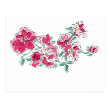 Pink Carnations Postcards