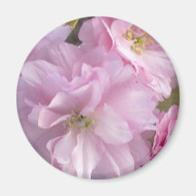 Pink Cherry Blossom Magnet