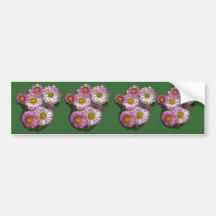 Pink Chrysanthemum Gifts Bumper Stickers