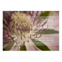 Pink Clematis DSC2060 Business Card Template