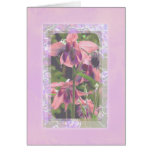 pink columbine blank greeting card