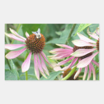 Pink Coneflowers Garden Sticker