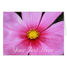 Pink Cosmo, Your Text Here Greeting Card