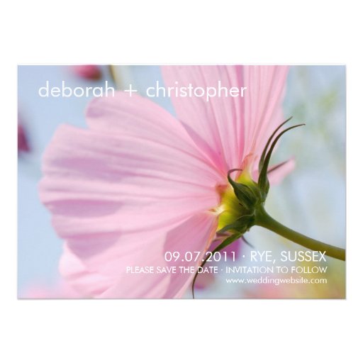 Pink Cosmos • Save the Date Card Custom Announcement