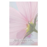 Pink Cosmos • Stationery stationery