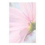 Pink Cosmos • Stationery