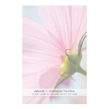 Pink Cosmos • Stationery
