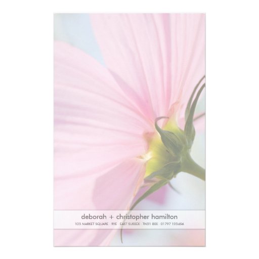 Pink Cosmos • Stationery