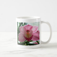 pink cymbidium coffee mug