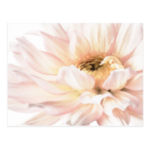 Pink Dahlia Artwork - Customise Post Cards