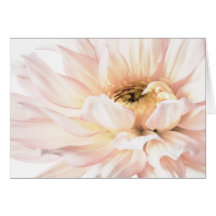 Pink Dahlia Artwork - Keywords: dahlia; beautiful; Greeting Cards