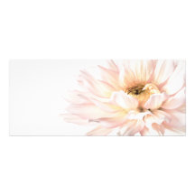 Pink Dahlia Flower - Dahlias Customized Template Personalized Invitations