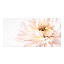 Pink Dahlia Flower - Dahlias Customized Template Photo Card Template