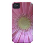 Pink Daisy Beauty iPhone 4 Covers