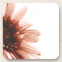 Pink Daisy Coaster