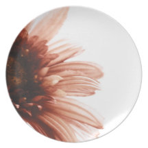 Pink Daisy Party Plates