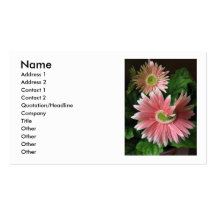 pink delight business card templates