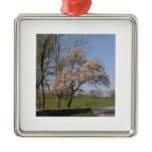 Pink Delight ornaments