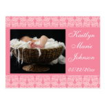 Pink Delight Postcard