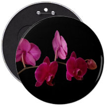 Pink Dendrobium Orchid - Customised Flowers